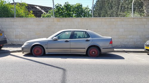 20190505_103101.jpg